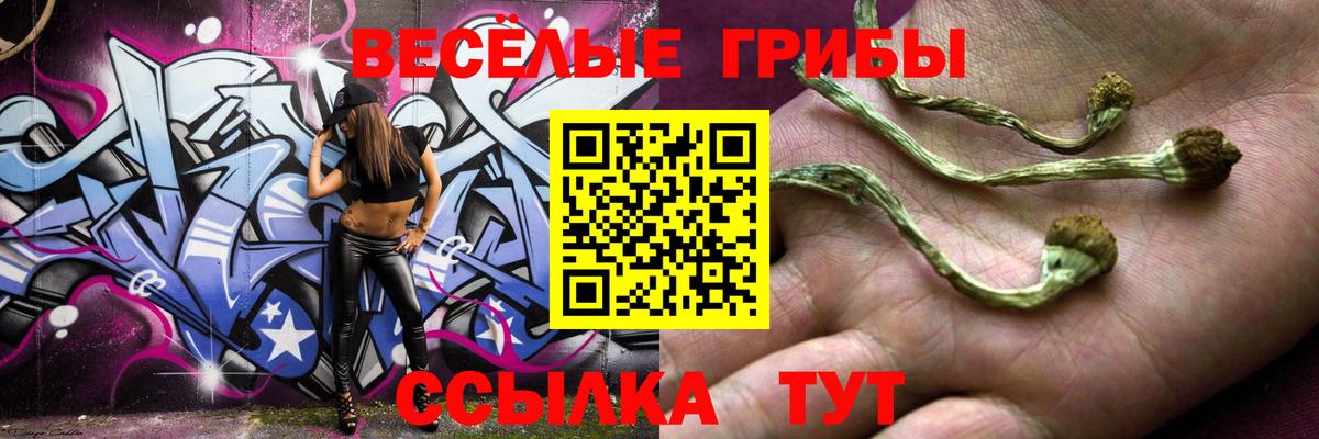 Псилоцибиновые грибы мухоморы  Вход с VPN  Димитровград 